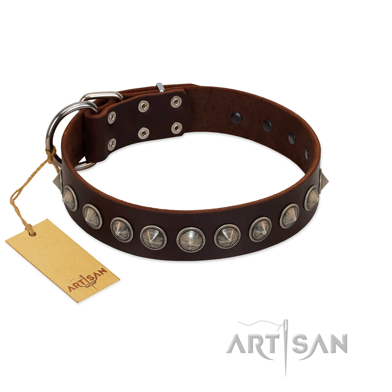 "Gothic Style" FDT Artisan Fancy Brown Leather American Bulldog Collar with Silver-Like Decorations