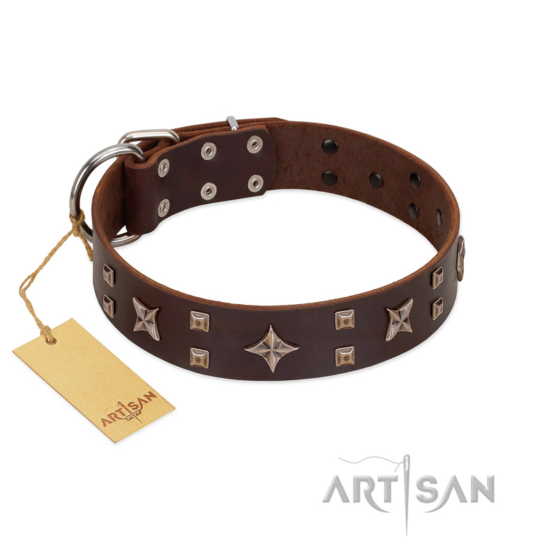 "Stars in Sands" Modern FDT Artisan Brown Leather American Bulldog Collar with Studs and Stars