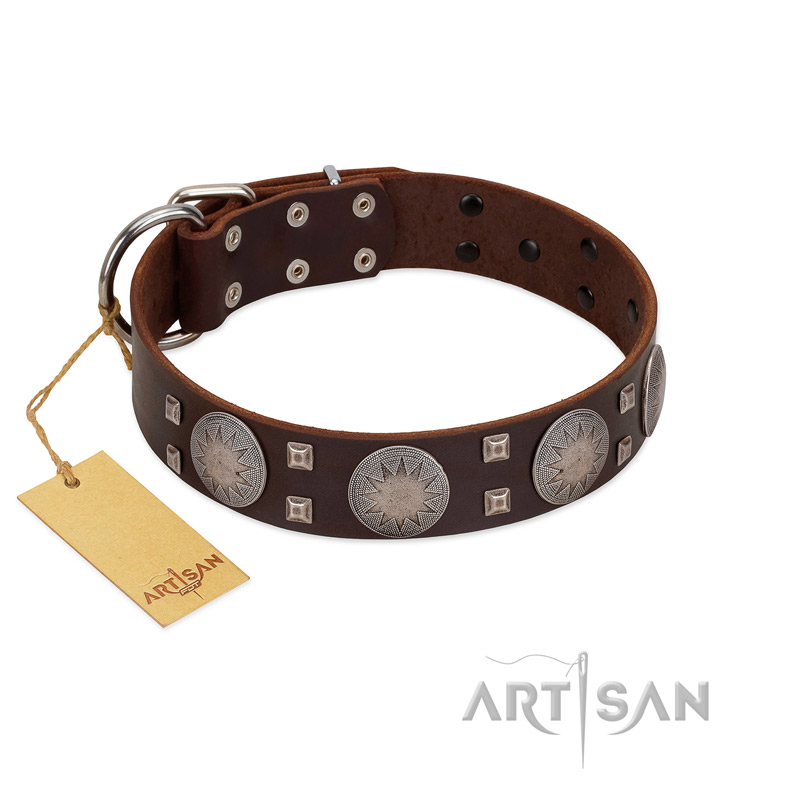 "Sun in Barchans" Modern FDT Artisan Brown Leather American Bulldog Collar with Engraved Stars on Round Plates and Studs