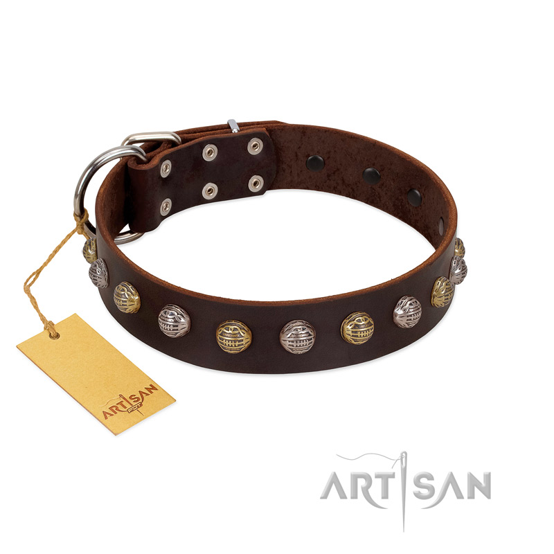 "Gape Buster" FDT Artisan Brown Leather American Bulldog Collar with One Row of Studs