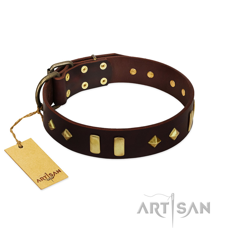 "Blinking Illusion" FDT Artisan Brown Leather American Bulldog Collar with Old Bronze-like Studs and Plates