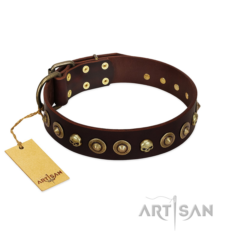 "Street Fashion" FDT Artisan Brown Leather American Bulldog Collar Adorned with Circles and Skulls