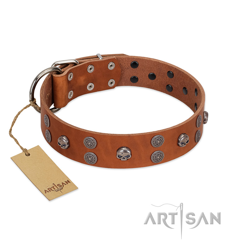 "Road Rider" FDT Artisan Tan Leather American Bulldog Collar with Old Silver-like Skulls and Medallions