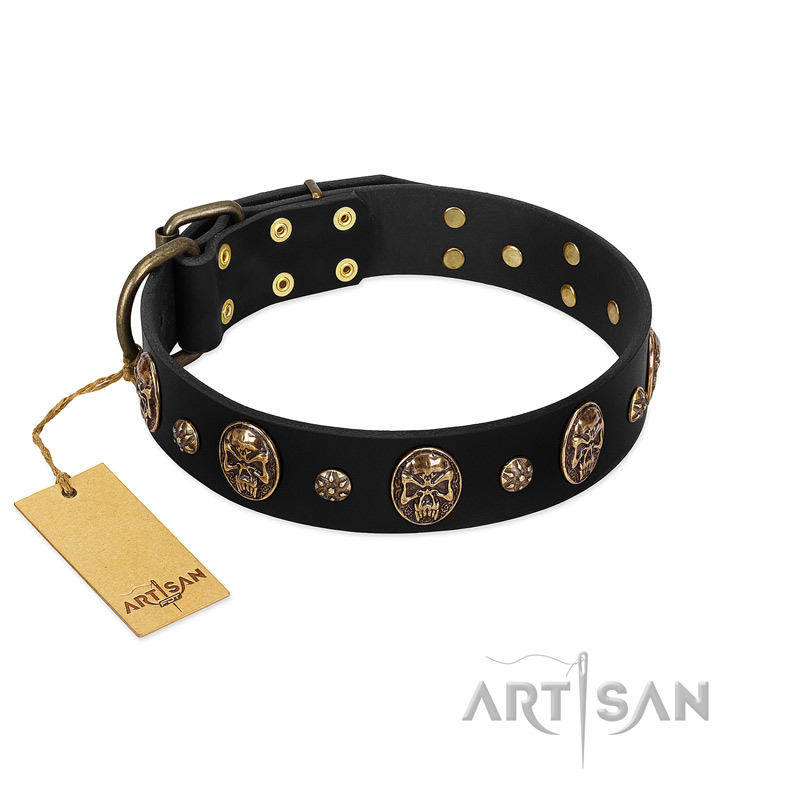 Pirate's Spell' FDT Artisan Black Leather American Bulldog Collar with Engraved Studs and Medallions
