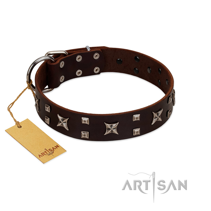 Brown Status Symbols Dog Collar - Medium/Large