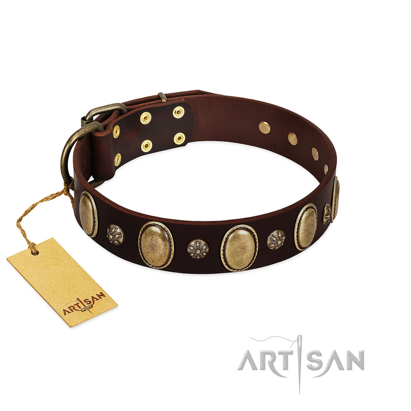 "Bronze Idol" FDT Artisan Brown Leather American Bulldog Collar with Eye-catching Ovals and Small Studs