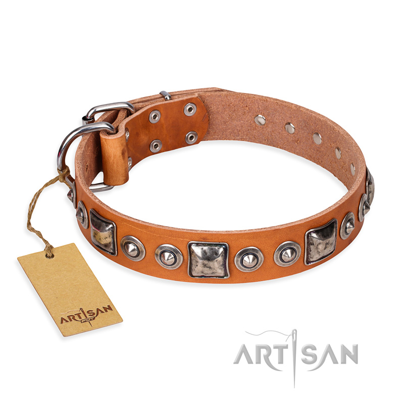 "Era of Future" FDT Artisan Handcrafted Tan Leather American Bulldog Collar with Decorations