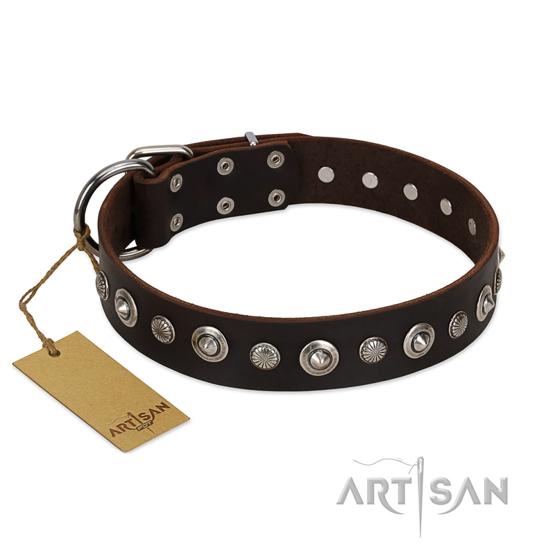 "Gorgeous Shields" FDT Artisan Brown Leather American Bulldog Collar with Old Silver-like Circles and Small Camomiles