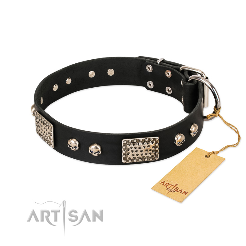 "Pirates Gold" FDT Artisan Black Leather American Bulldog Collar with Old Silver Look Plates and Skulls - Click Image to Close