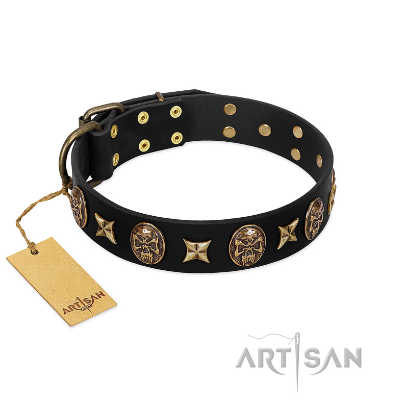 "Starry Saga" FDT Artisan Black Leather American Bulldog Collar with Stars and Skulls