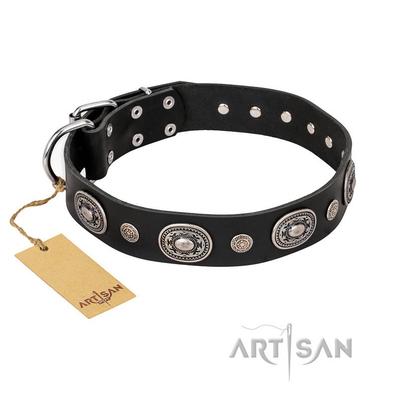 "Black Tie" FDT Artisan Leather American Bulldog Collar with Old Silver-like Decorations - Click Image to Close