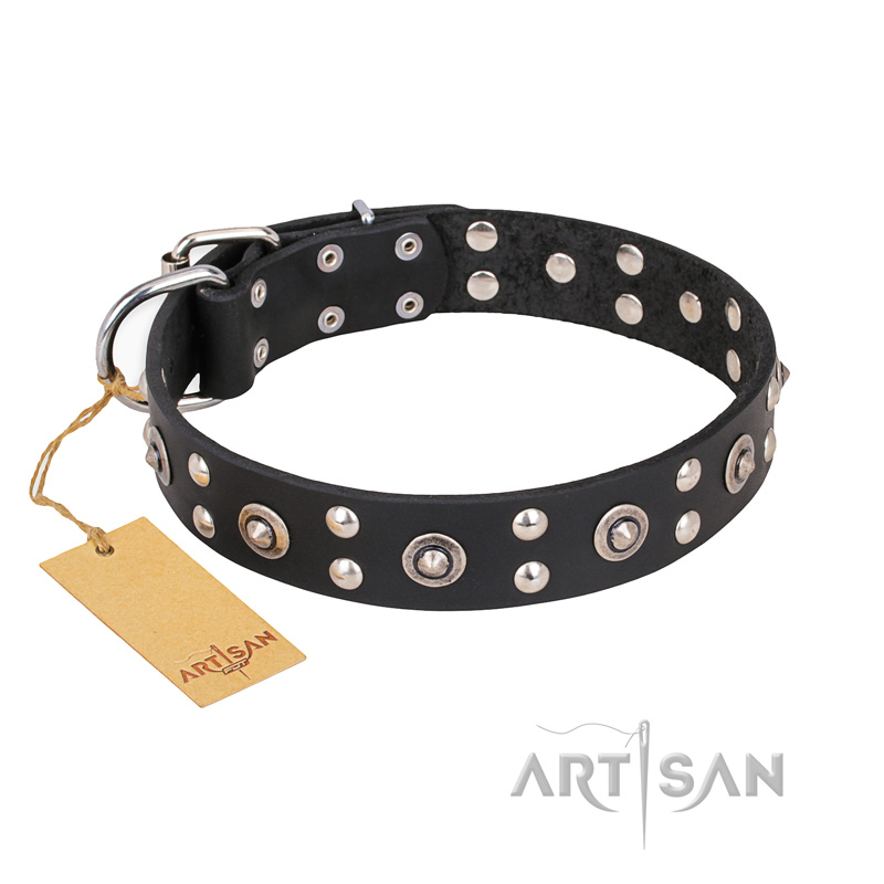 "Refined Essence" FDT Artisan Black Leather American Bulldog Collar with Silvery Studs