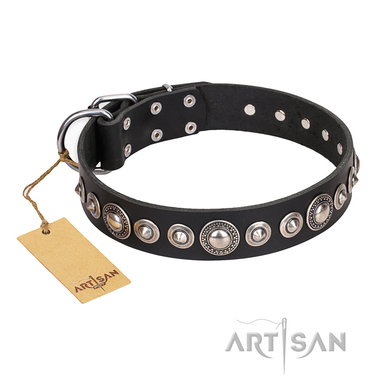 "Strict Elegance" FDT Artisan Black Leather American Bulldog Collar with Decorations