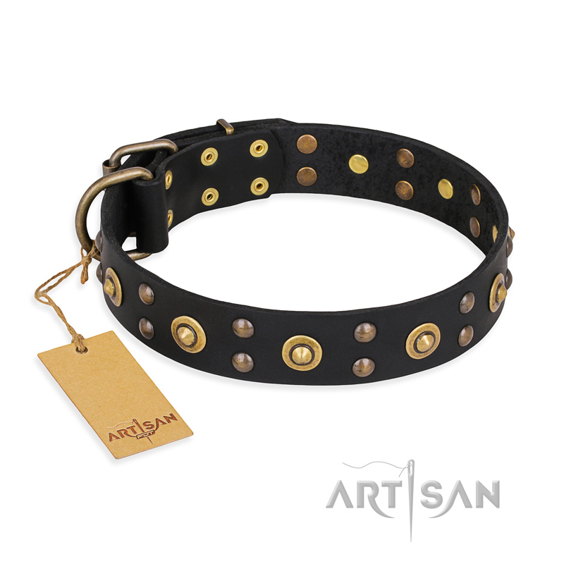 "Cosmic Glow" FDT Artisan Black Leather American Bulldog Collar with Brass-Plated Studs