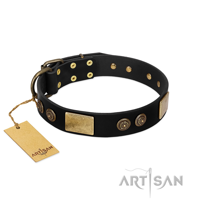 "Chicci-Glam" FDT Artisan Black Leather American Bulldog Collar with Plates and Ornate Studs