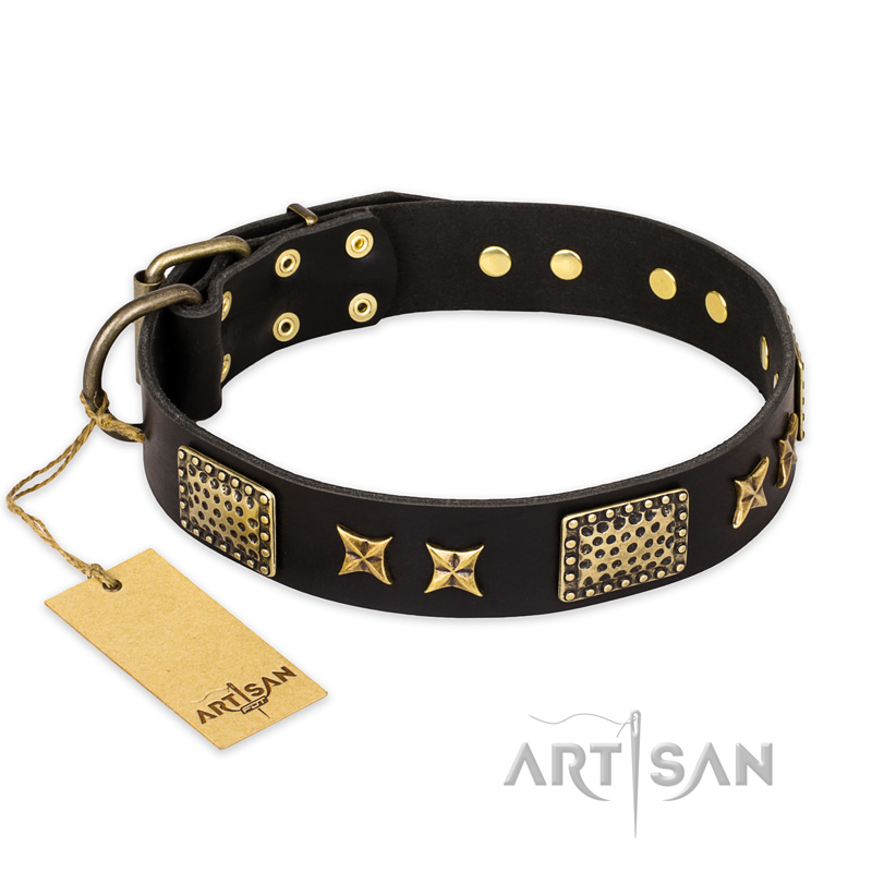 "Passion for Style and Beauty" FDT Artisan Decorated Black Leather American Bulldog Collar