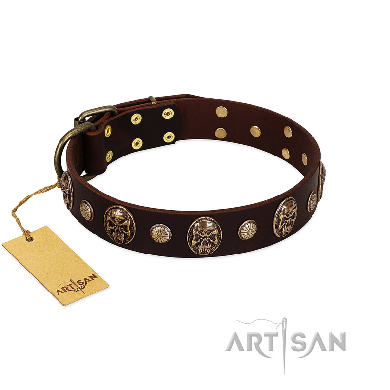 "Snazzy Paws" FDT Artisan Brown Leather American Bulldog Collar Adorned with Conchos and Medallions