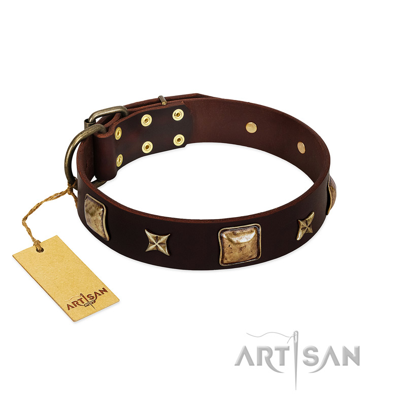 "Choco Dreams" FDT Artisan Brown Leather American Bulldog Collar with Squares and Stars - Click Image to Close