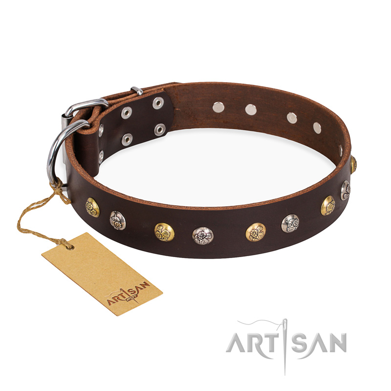 "Golden"n"Silver Luxury" FDT Artisan Leather American Bulldog Collar with Engraved Studs
