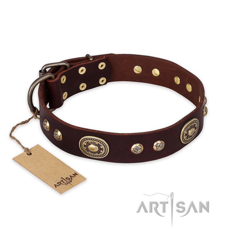 "Breath of Elegance" FDT Artisan Decorated with Plates Brown Leather American Bulldog Collar