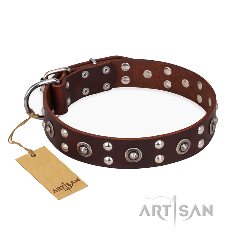 "Pirate Treasure" FDT Artisan Exciting Brown Leather American Bulldog Collar with Studs