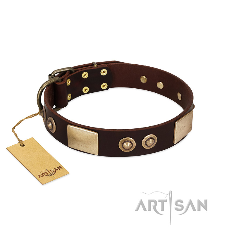 "Sense of Freedom" FDT Artisan Brown Leather American Bulldog Collar with Old Bronze-Plated Studs and Plates