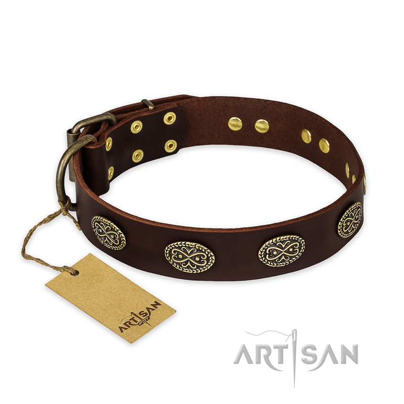 "Chocolate kiss" FDT Artisan Leather American Bulldog Collar with Old Bronze Look Oval Plates
