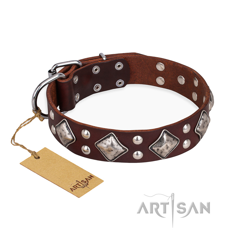 "King of Grace" FDT Artisan Stylish Leather American Bulldog Collar with Old Silver-Like Plated Decorations
