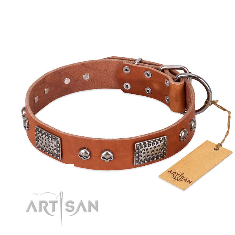 "Sparkling Skull" FDT Artisan Tan Leather American Bulldog Collar with Old Silver Look Plates and Skulls