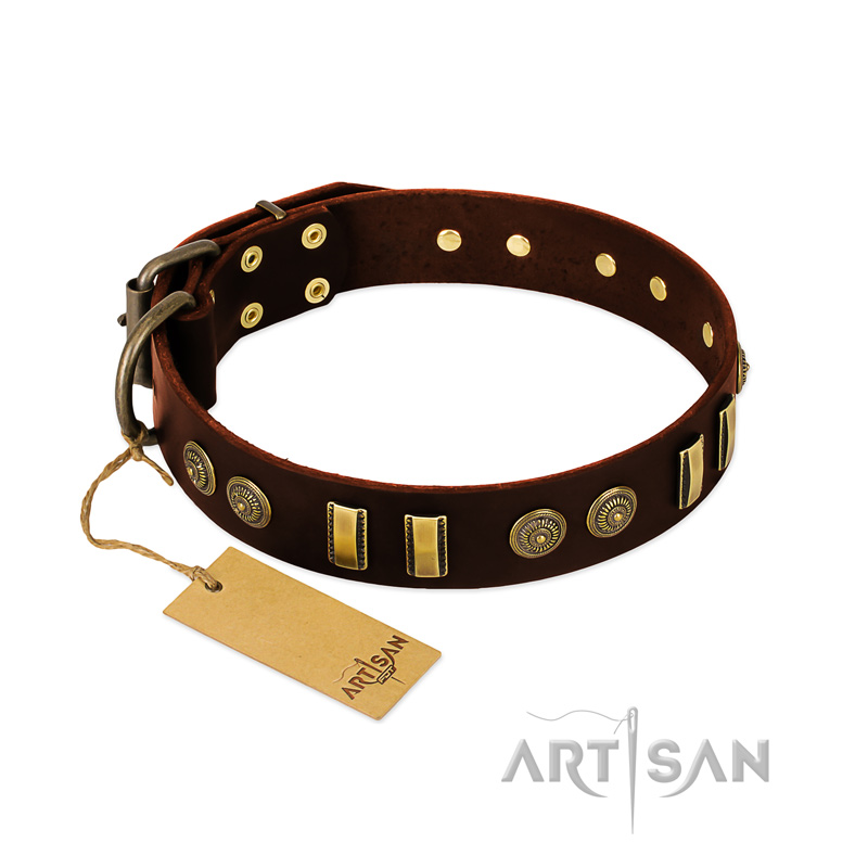 "Golden Elegance" FDT Artisan Brown Leather American Bulldog Collar with Old Bronze-like Decorations