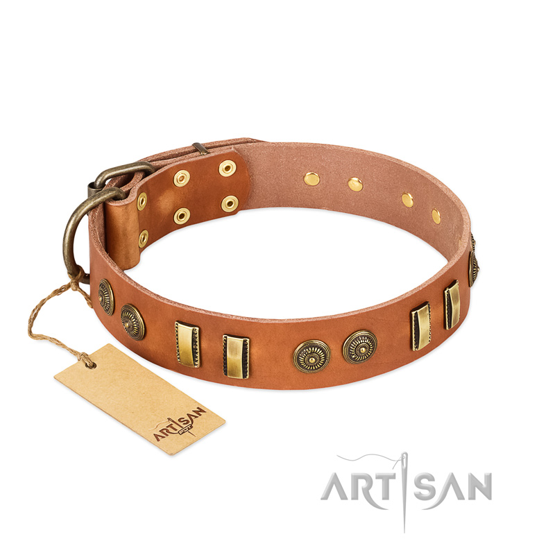 "Natural Beauty" FDT Artisan Tan Leather American Bulldog Collar with Old Bronze-like Circles and Plates