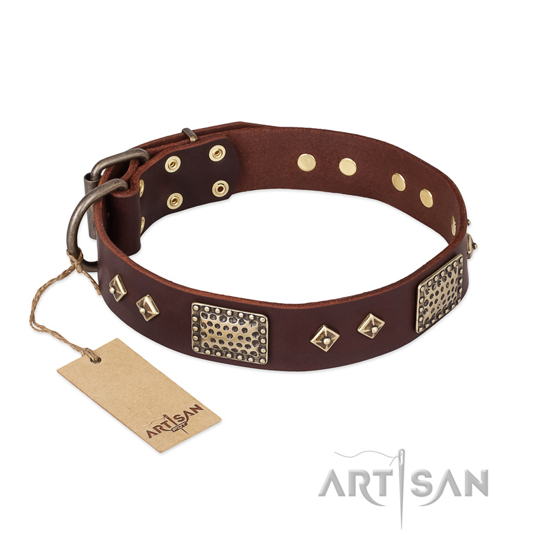 "Loving Owner" FDT Artisan Decorated Leather American Bulldog Collar with Plates and Studs