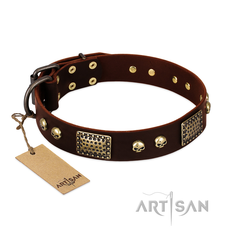 "Magic Amulet" Brown Leather American Bulldog Collar with Skulls and Plates