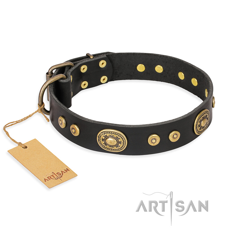 "Golden Radiance" FDT Artisan Black Leather American Bulldog Collar with Old Bronze Look Ovals and Circles