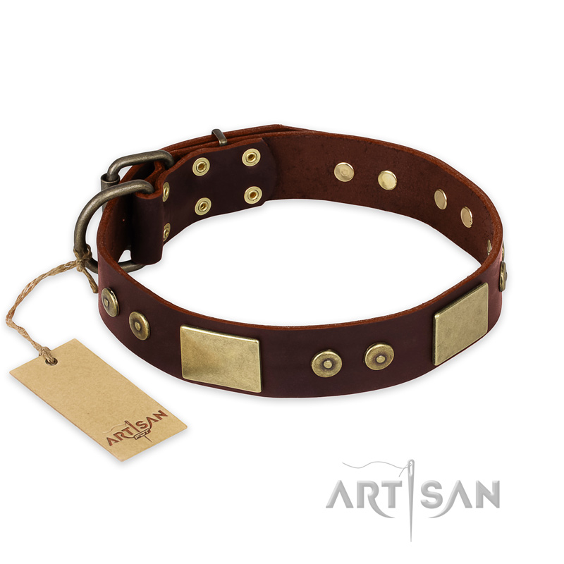 "Shining Armour" FDT Artisan Brown Leather American Bulldog Collar with Decorations