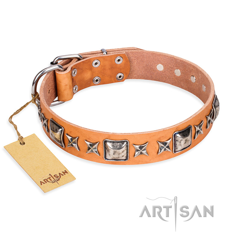 "Glamour Finery" FDT Artisan Female American Bulldog collar of natural leather with stylish old-looking circles