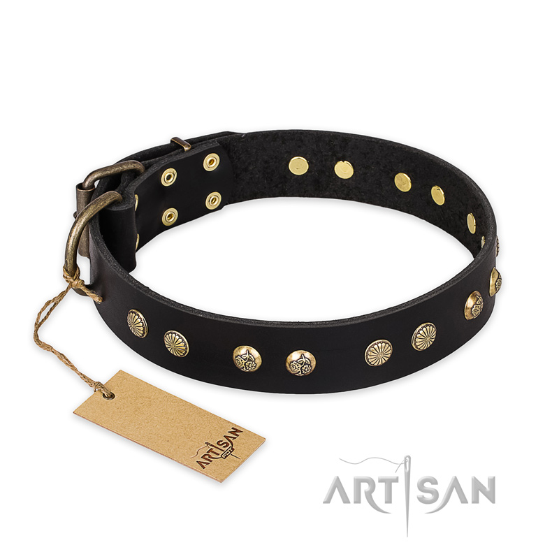 "Black Elegance" FDT Artisan Leather American Bulldog Collar with Round Studs - Click Image to Close