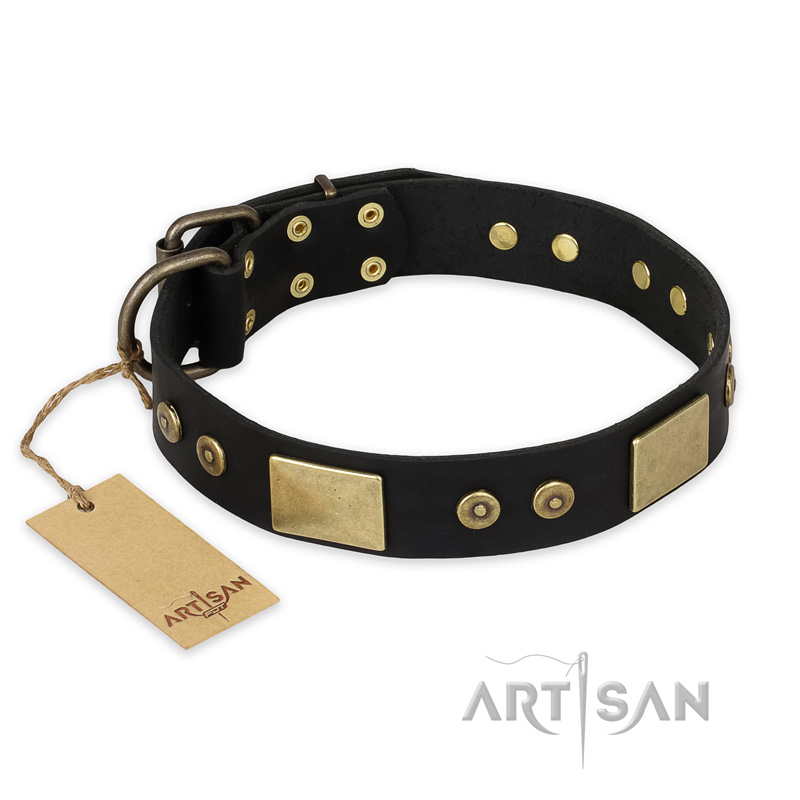 "Spanish night" FDT Artisan Fashionable Leather Walking American Bulldog Collar