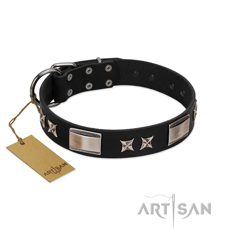 "Pitch Dark" FDT Artisan Black Leather American Bulldog Collar with Stars and Plates