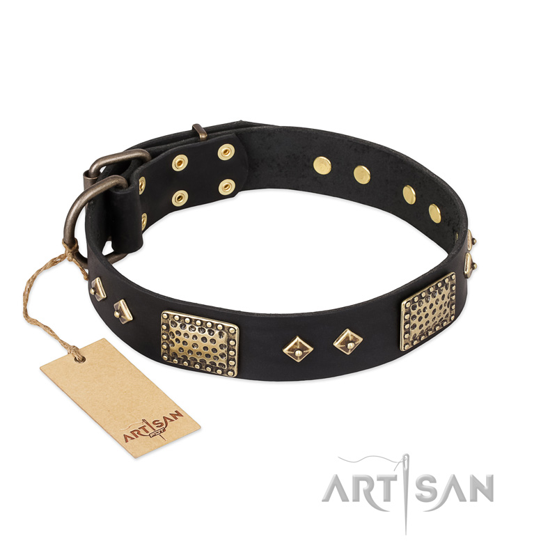 "Jewel Passion" FDT Artisan Fashionable Black Leather American Bulldog Collar