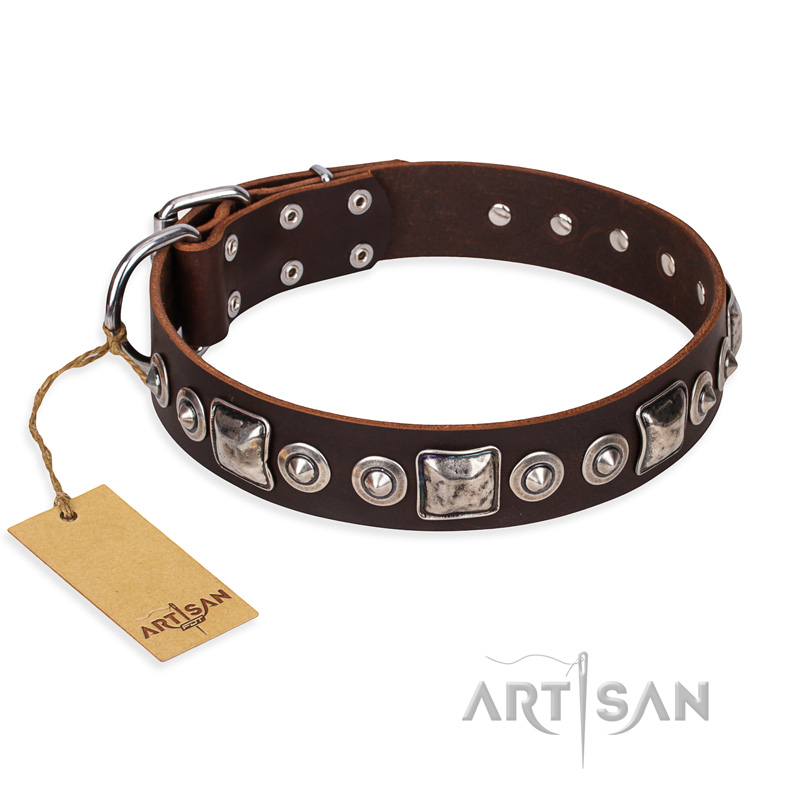 "Pierian spring" FDT Artisan Brown Leather American Bulldog Collar with Silvery Decorations