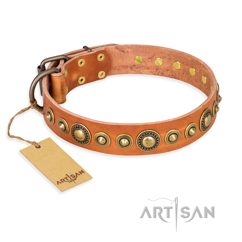 "Feast of Luxury" FDT Artisan Tan Leather American Bulldog Collar with Old Bronze Look Circles