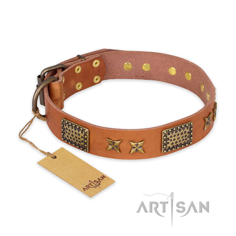 "Cosmic Traveller" FDT Artisan Adorned Leather American Bulldog Collar with Old Bronze-Plated Stars and Plates - Click Image to Close