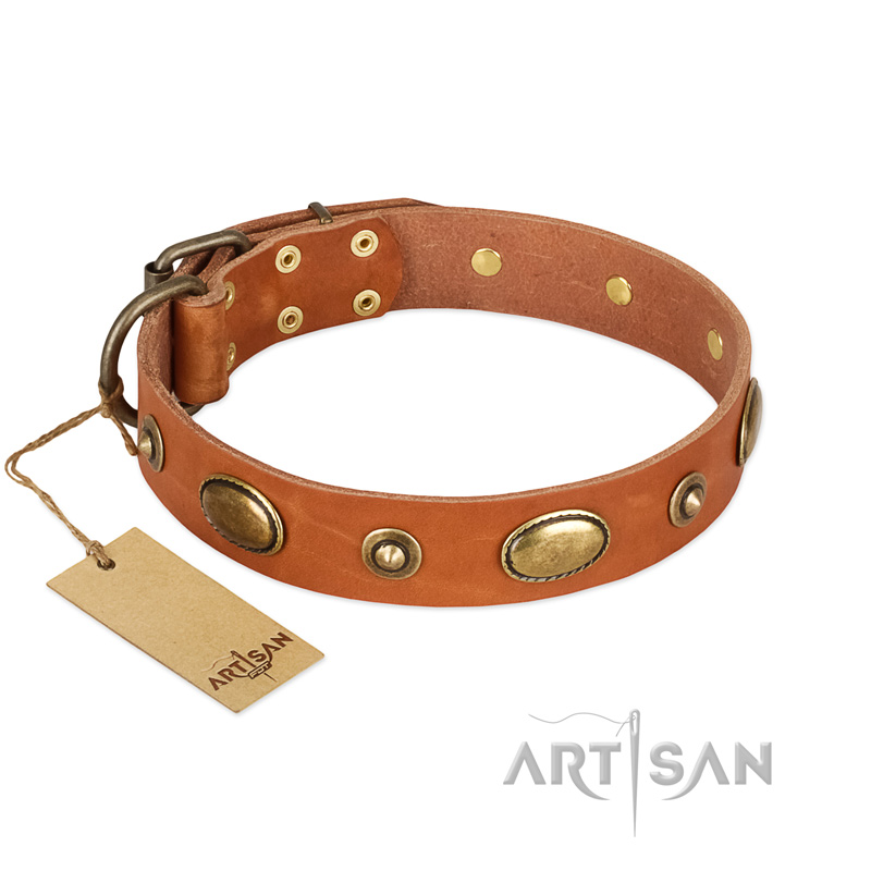 "Visual Magic" FDT Artisan Tan Leather American Bulldog Collar for Daily Activities