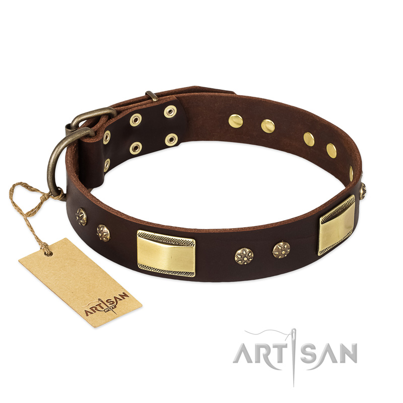 "Rich Fashion" FDT Artisan Decorated Leather American Bulldog Collar with Plates and Studs