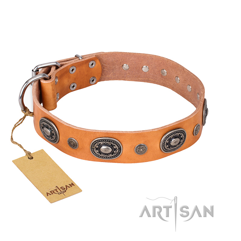 "Twinkle Twinkle" FDT Artisan Incredible Studded Tan Leather American Bulldog Collar