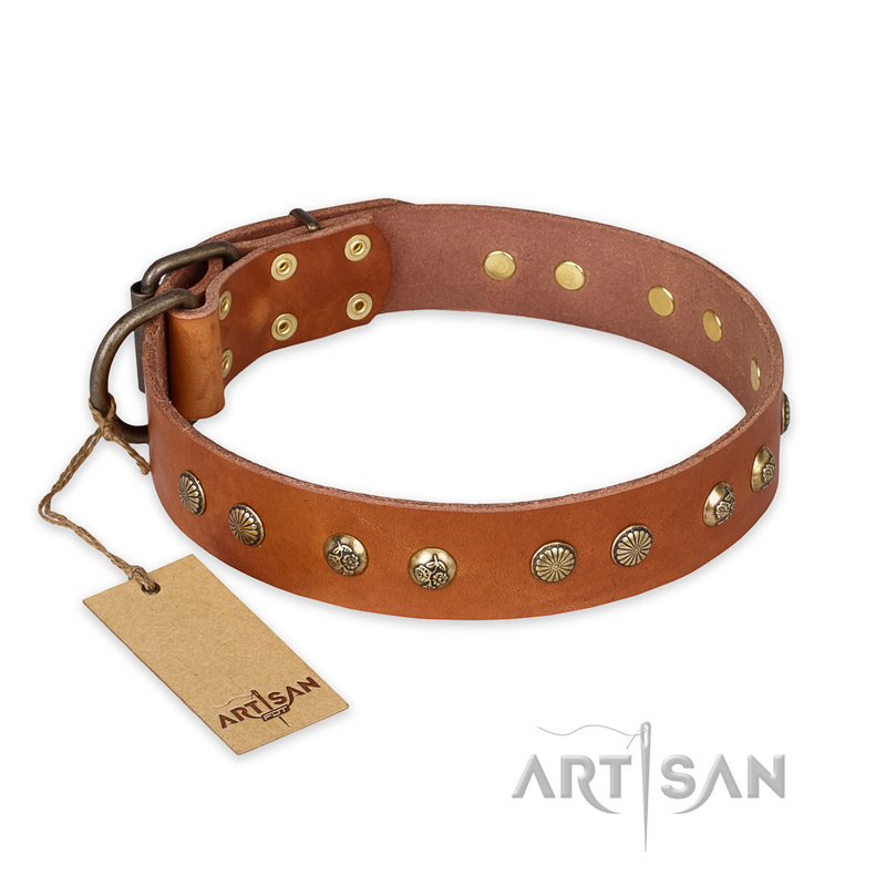 "Spring Flavor" FDT Artisan Adorned Leather American Bulldog Collar with Old Bronze-Plated Engraved Studs - Click Image to Close