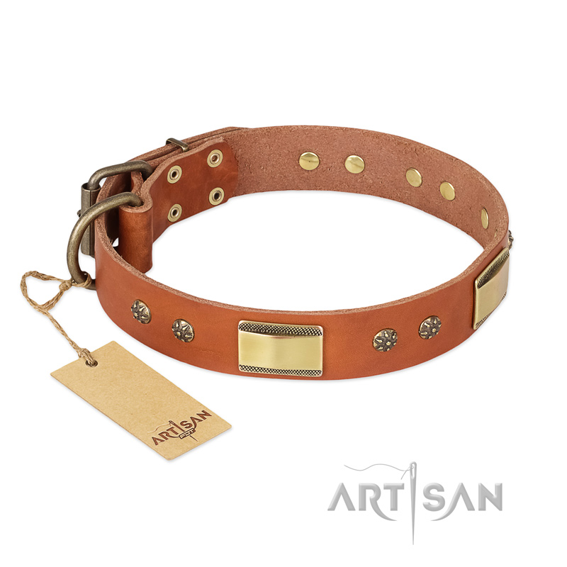"Enchanting Spectacle" FDT Artisan Tan Leather American Bulldog Collar with Old Bronze Look Plates and Round Studs