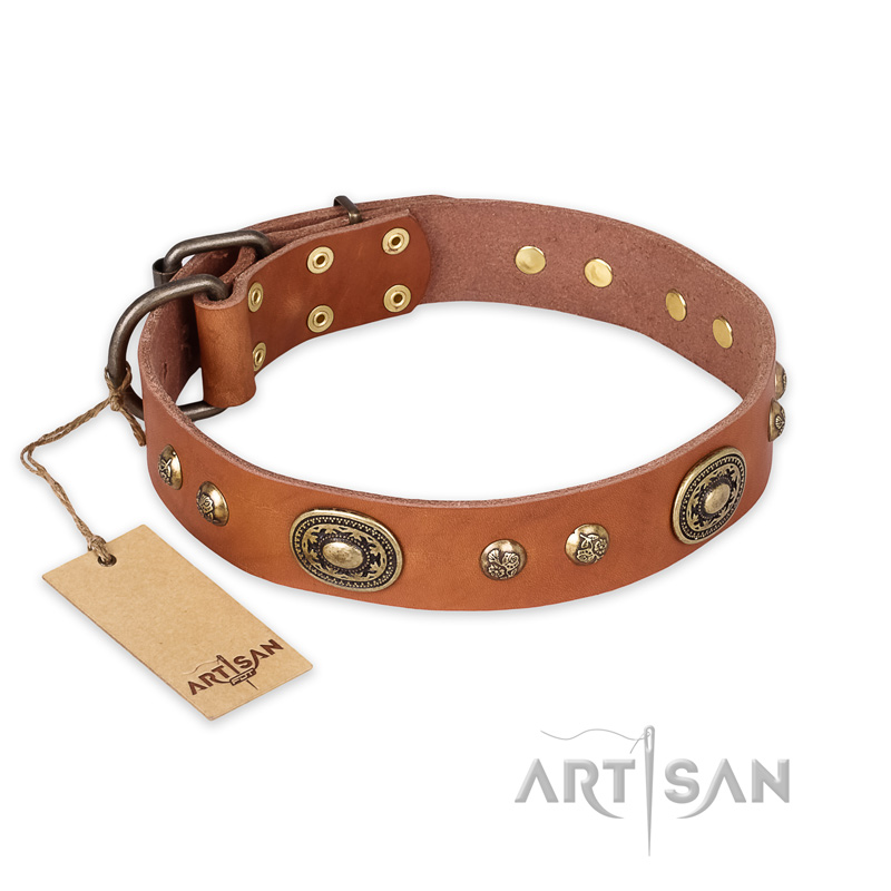 "Stunning Dress" FDT Artisan Tan Leather American Bulldog Collar with Old Bronze Look Plates and Studs