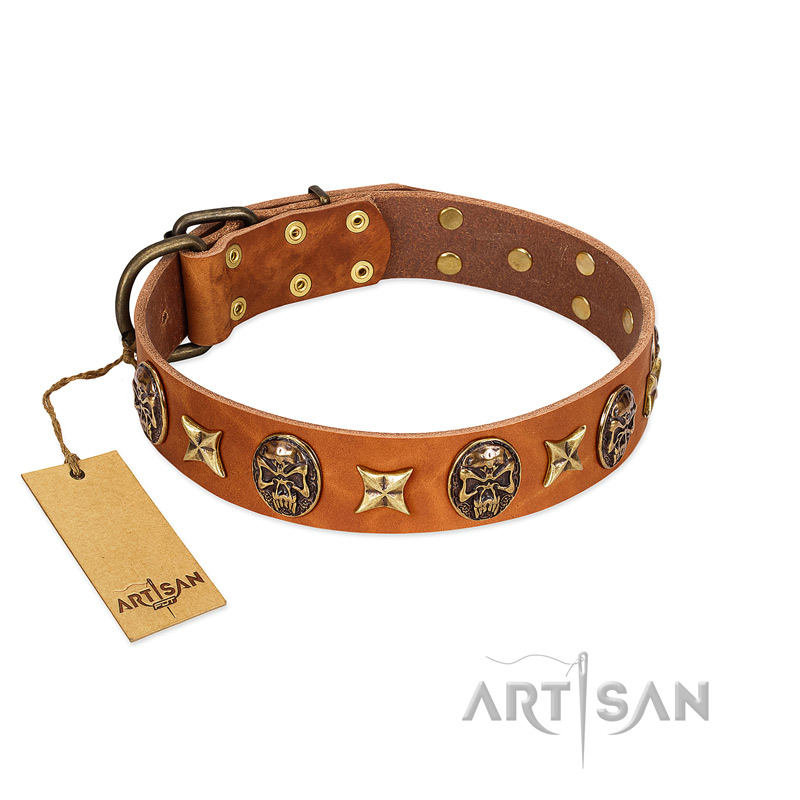 "Rockin' Doggie" FDT Artisan Tan Leather American Bulldog Collar Adorned with Stars and Skulls